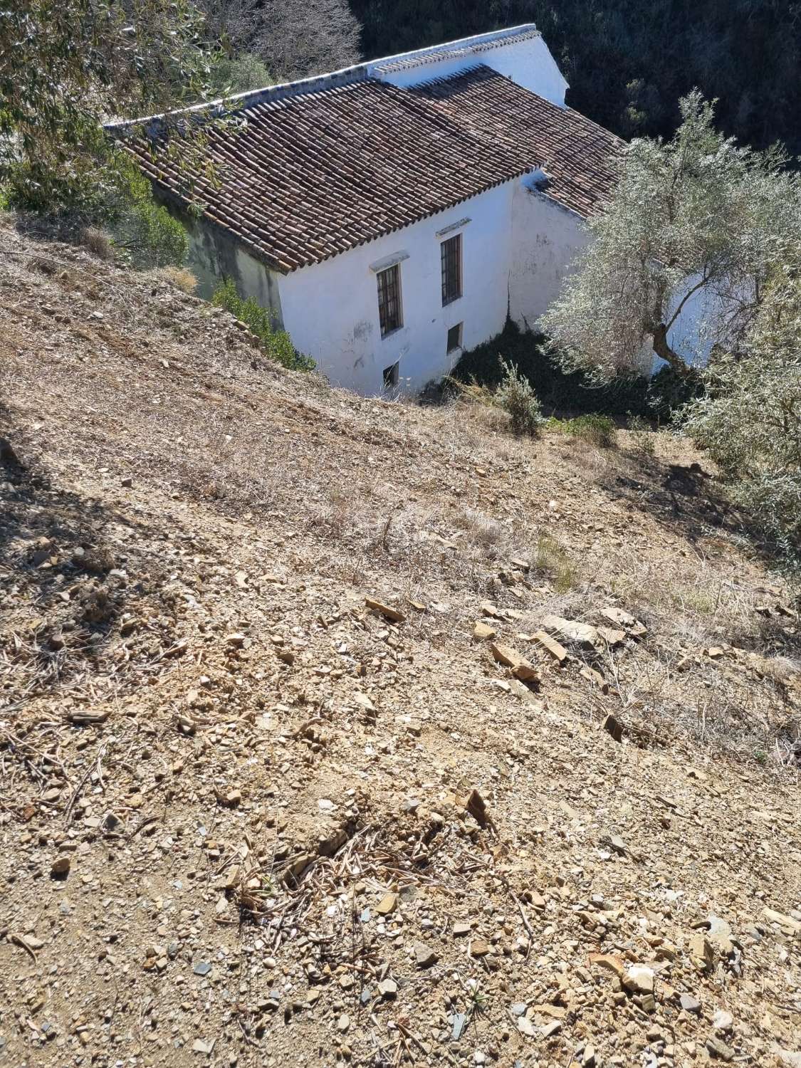 قطعة أرض للبيع في Málaga