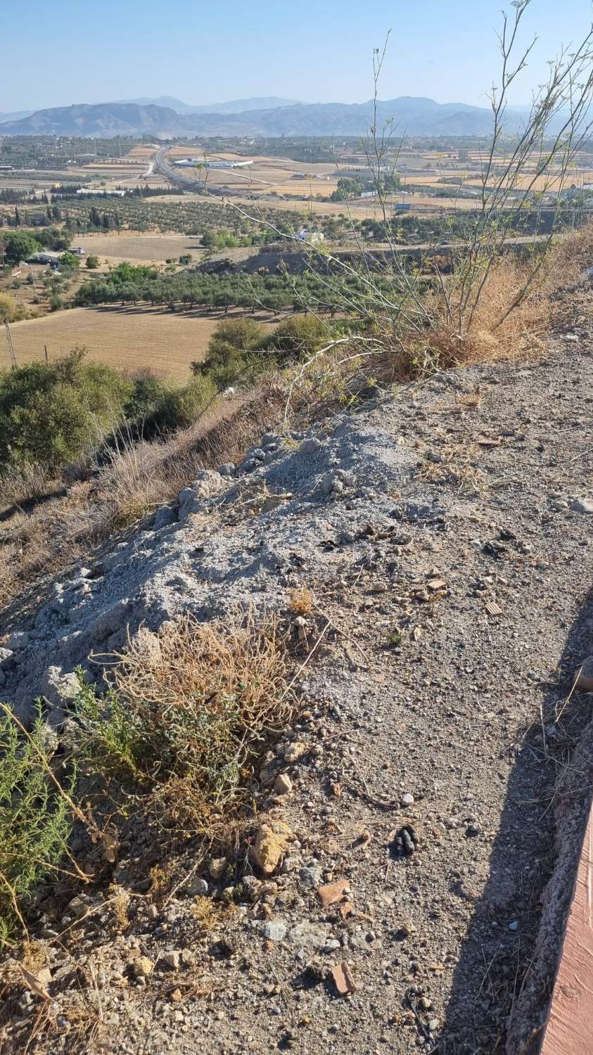 Parcelle en vente à Coín