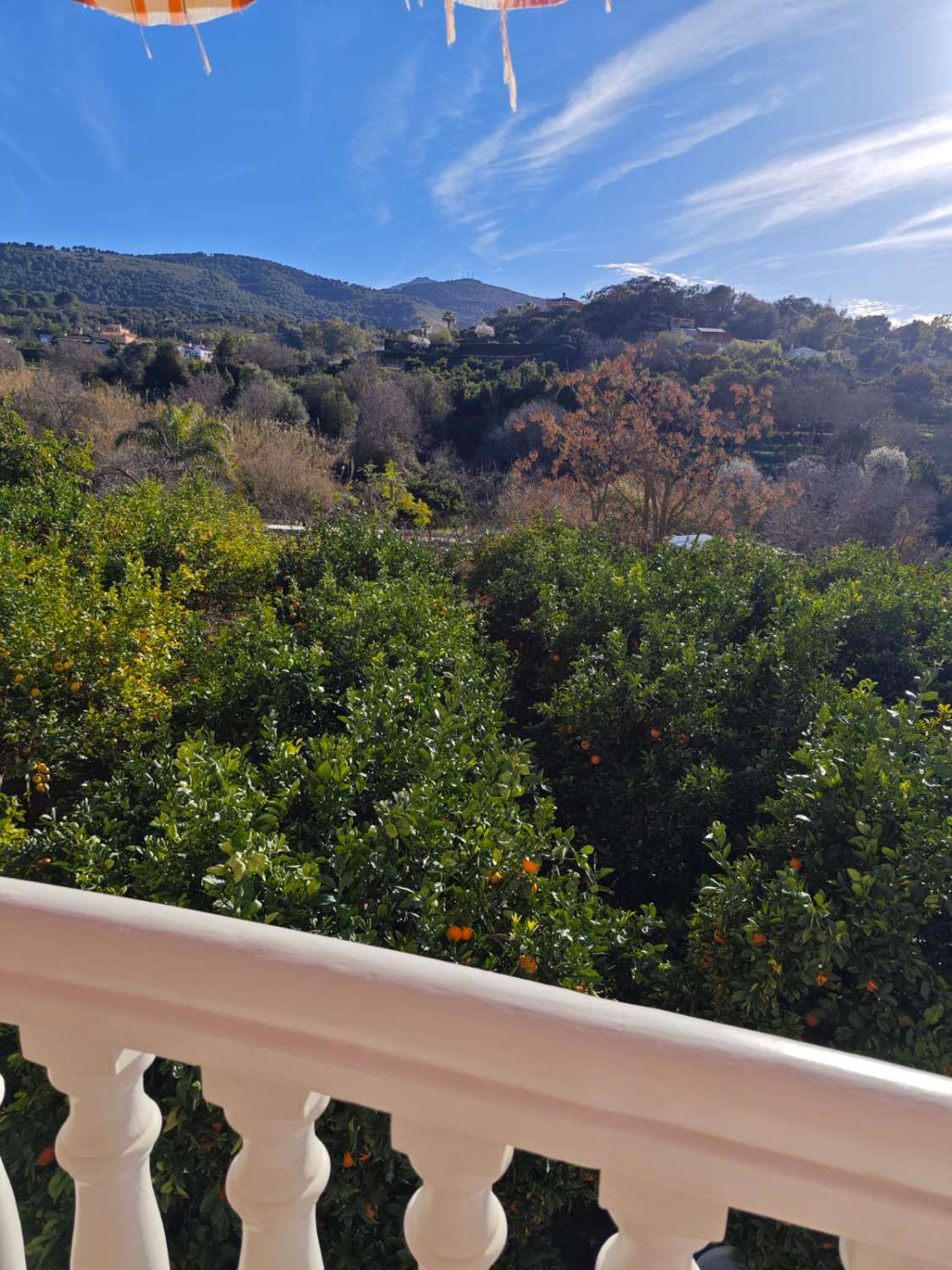 Magnifica finca con casa con piscina y todas las comodidades