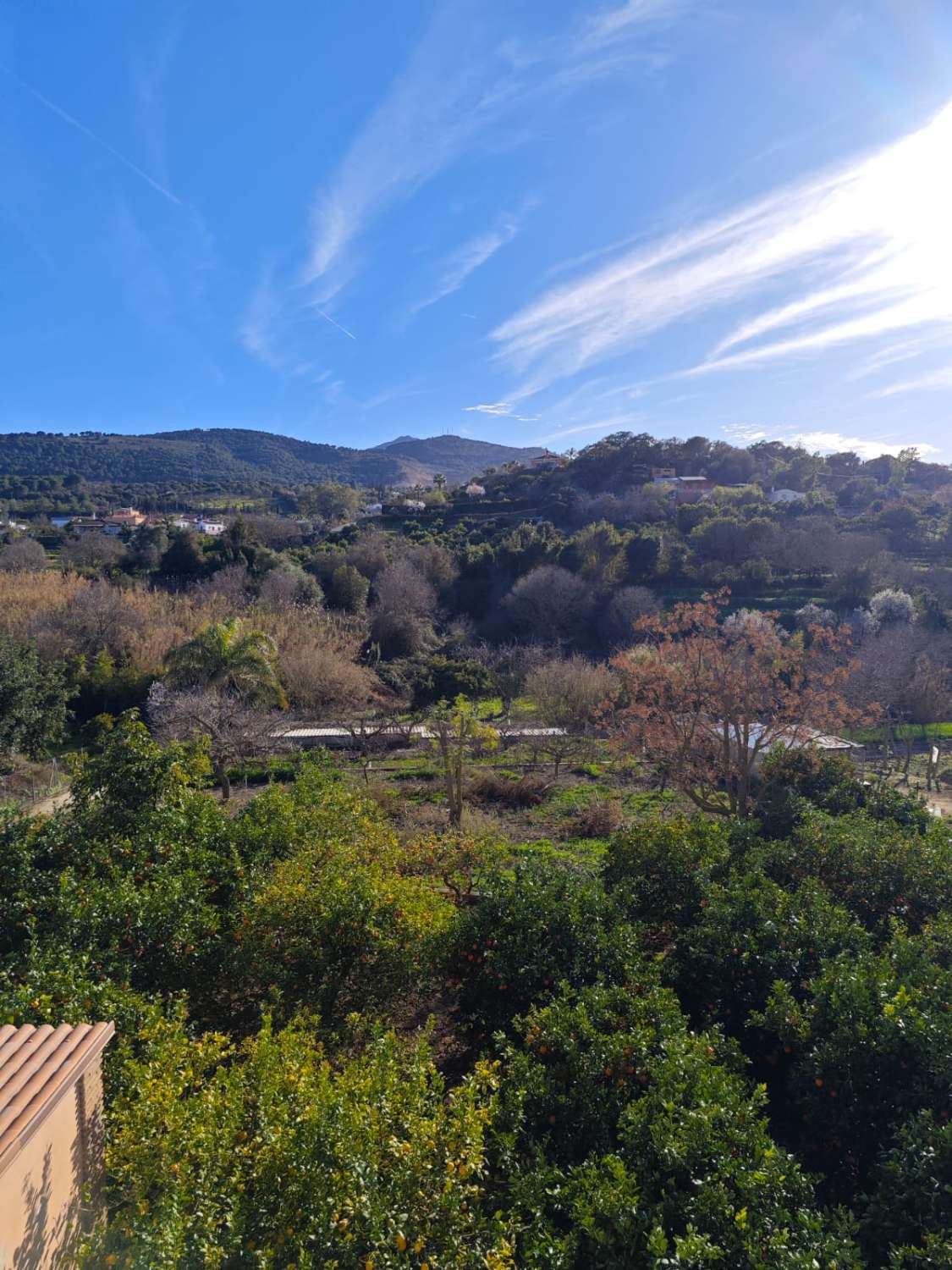 Magnifica finca con casa con piscina y todas las comodidades