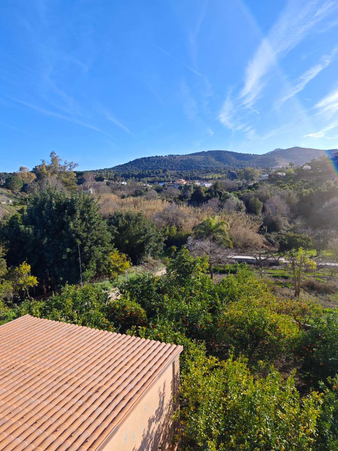 Maison en vente à Coín