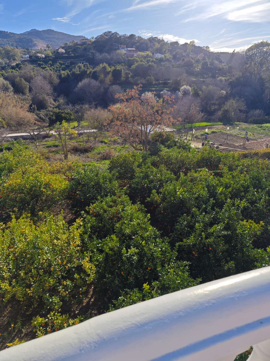 Magnifica finca con casa con piscina y todas las comodidades