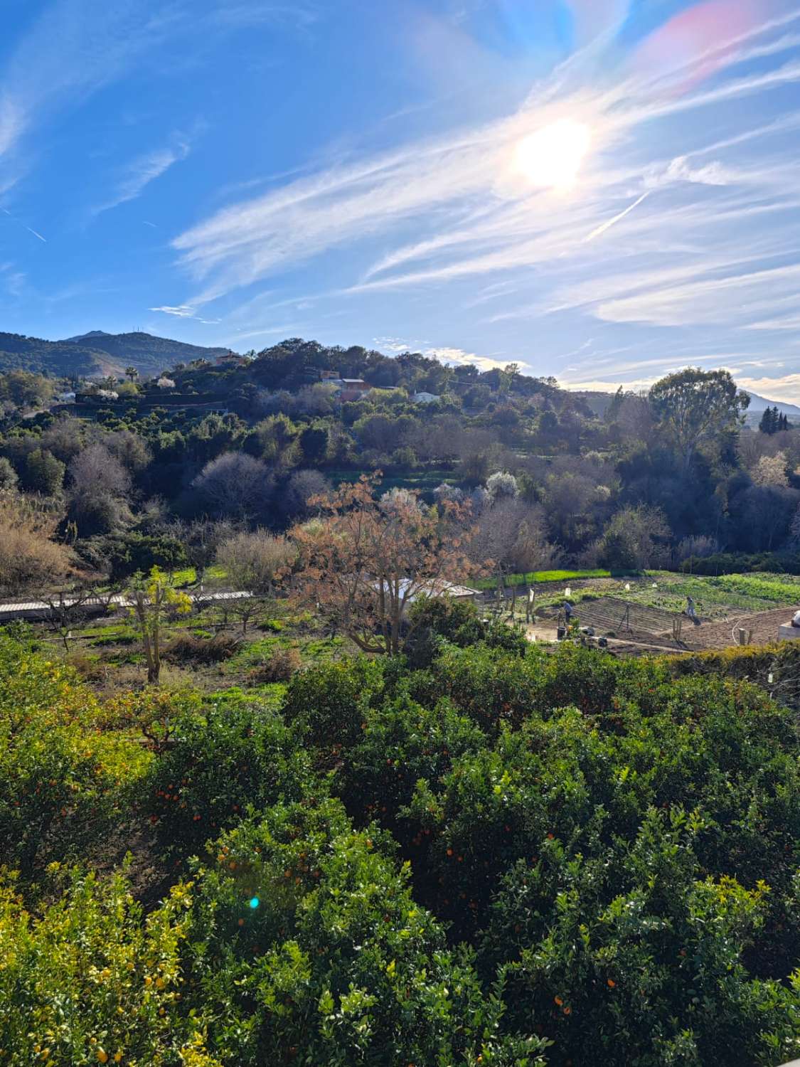 Magnifica finca con casa con piscina y todas las comodidades