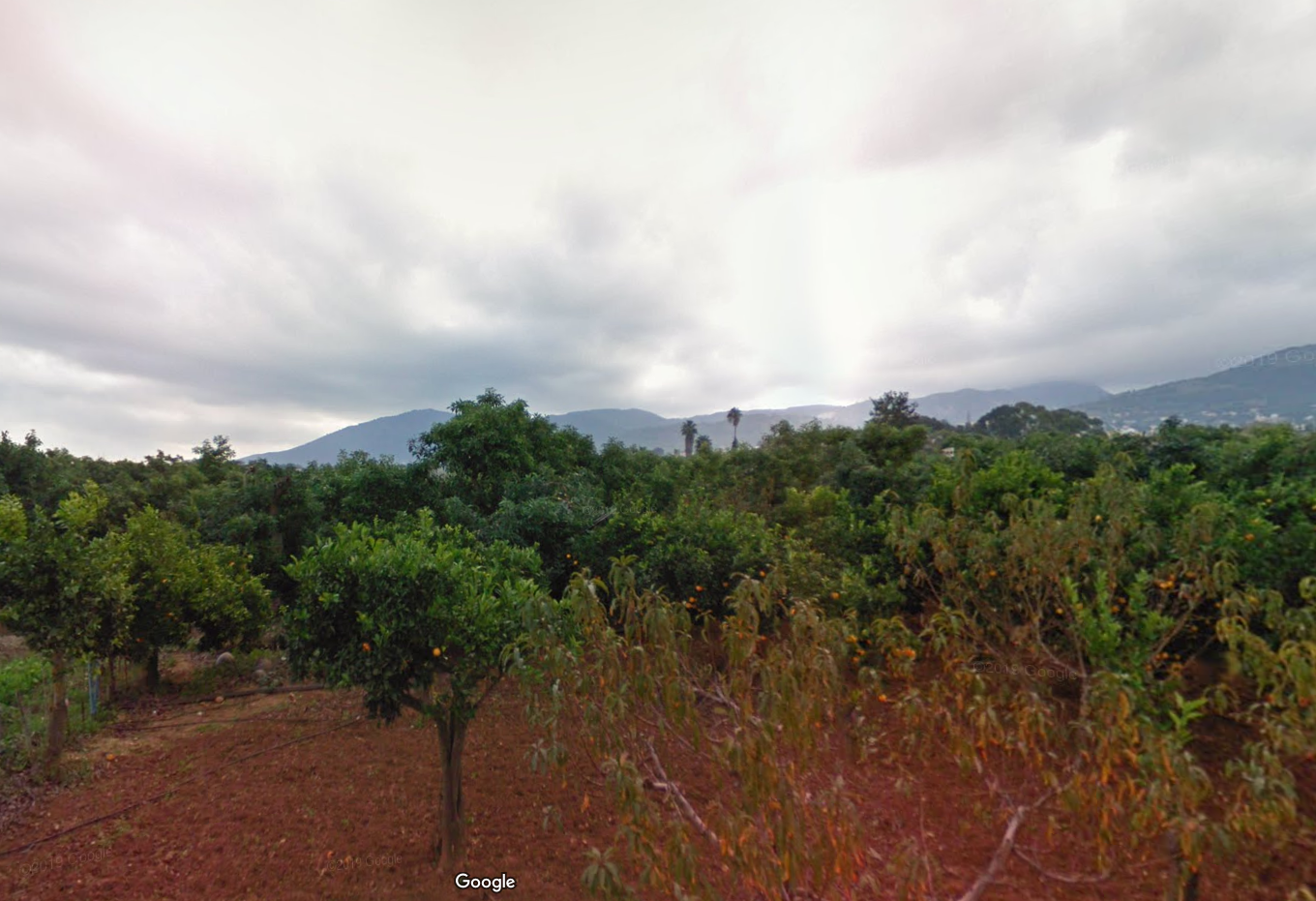 Finca des aguacates con mucha agua y con arboles en producción con casas y piscina