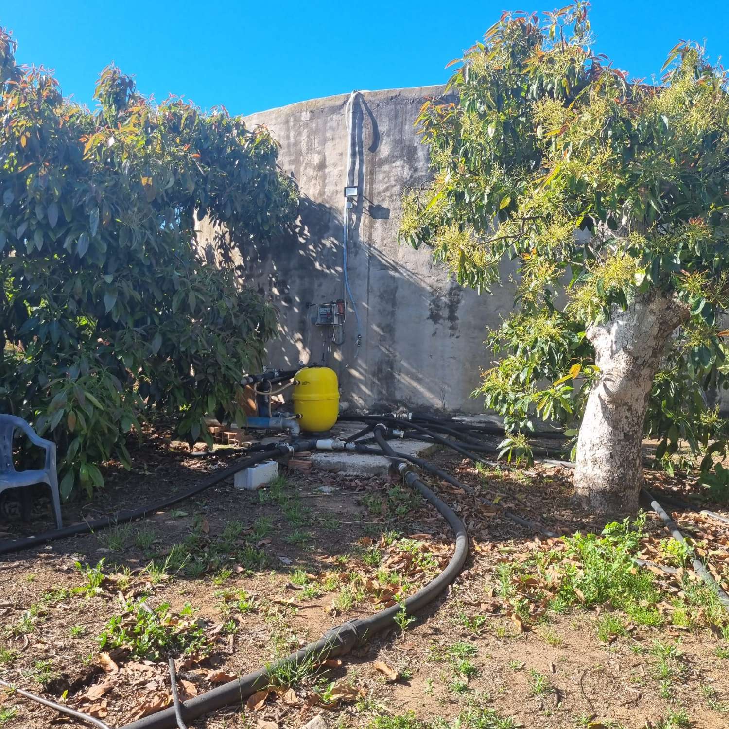 Finca des aguacates con mucha agua y con arboles en producción con casas y piscina