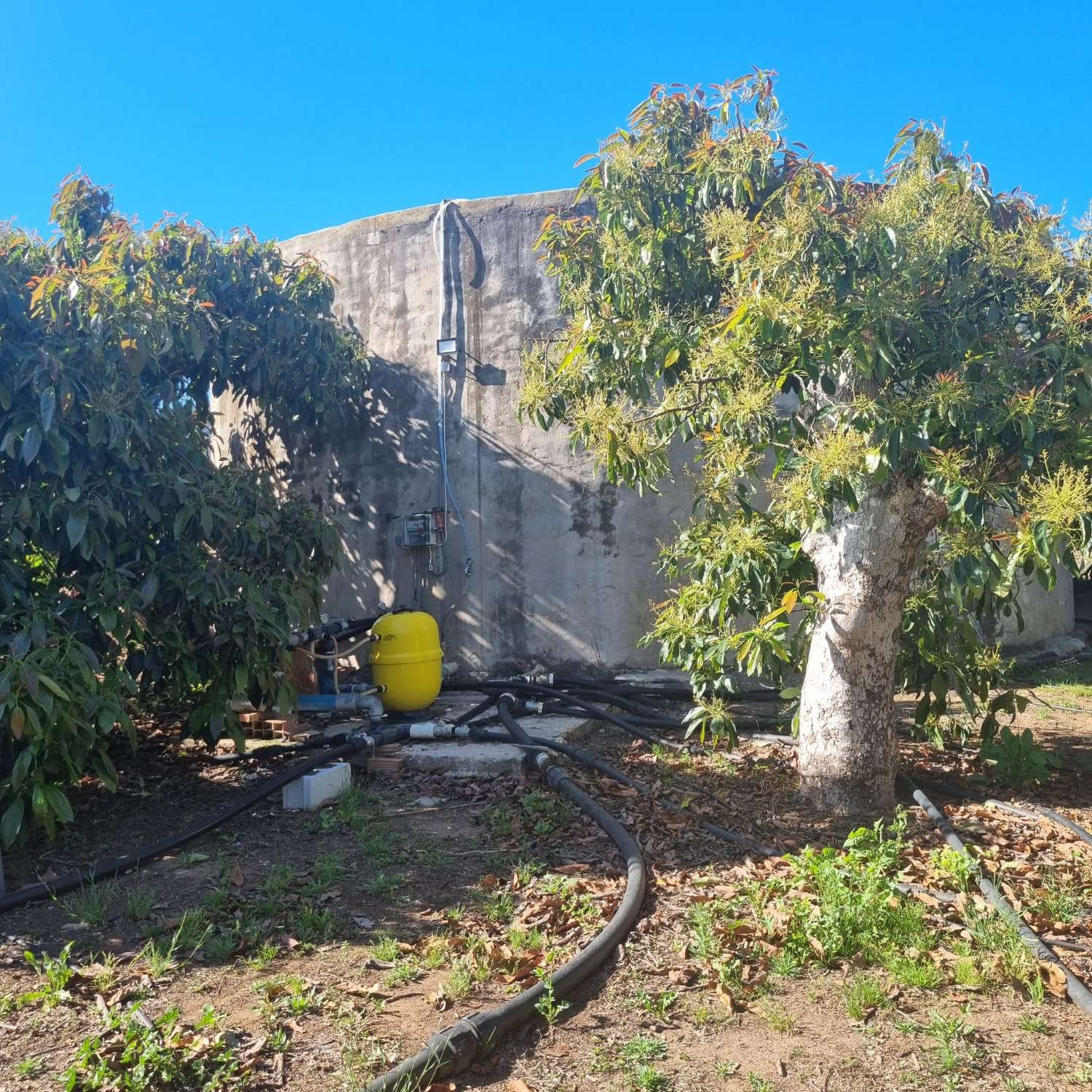 Country Property v prodeji in Alhaurín de la Torre