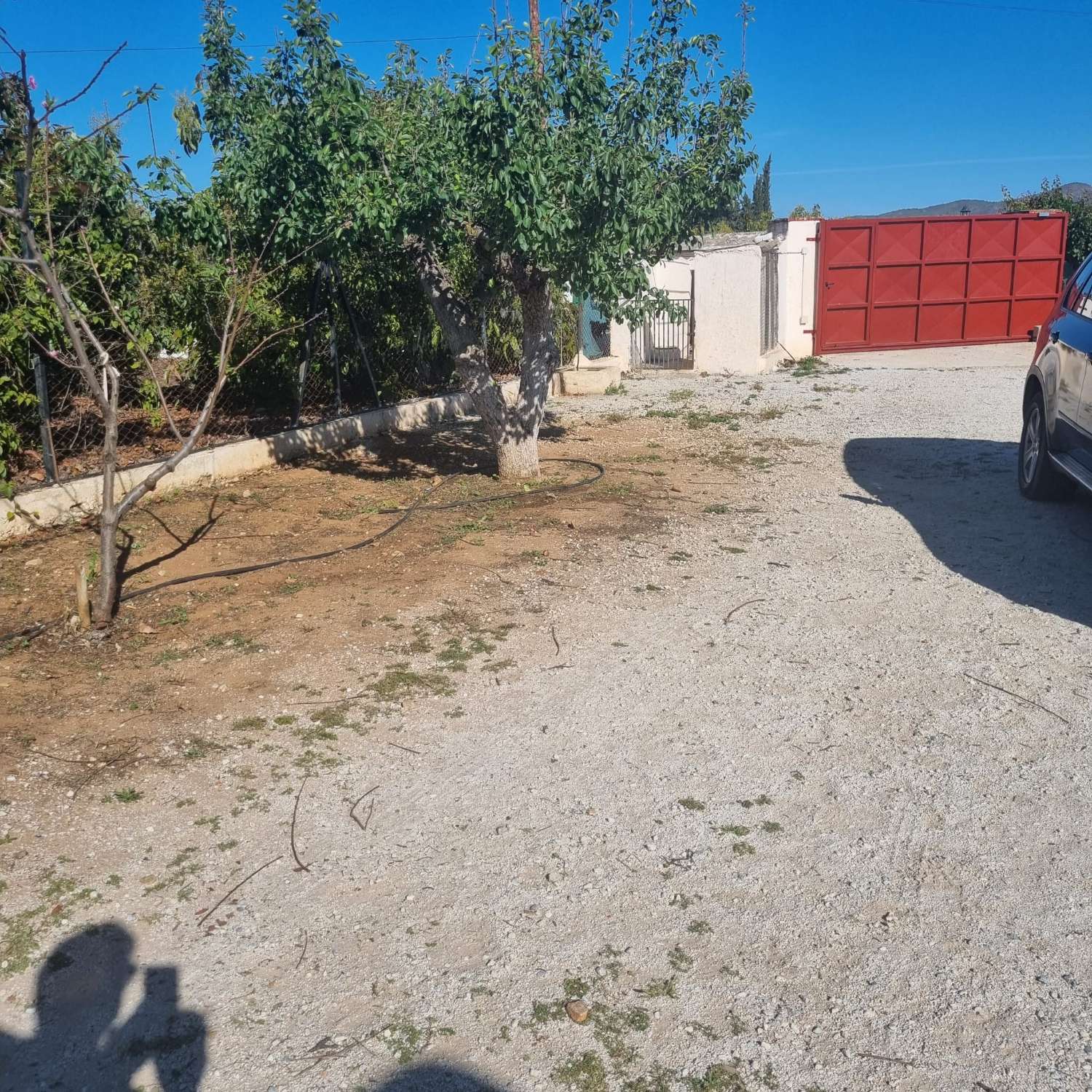 Finca des aguacates con mucha agua y con arboles en producción con casas y piscina