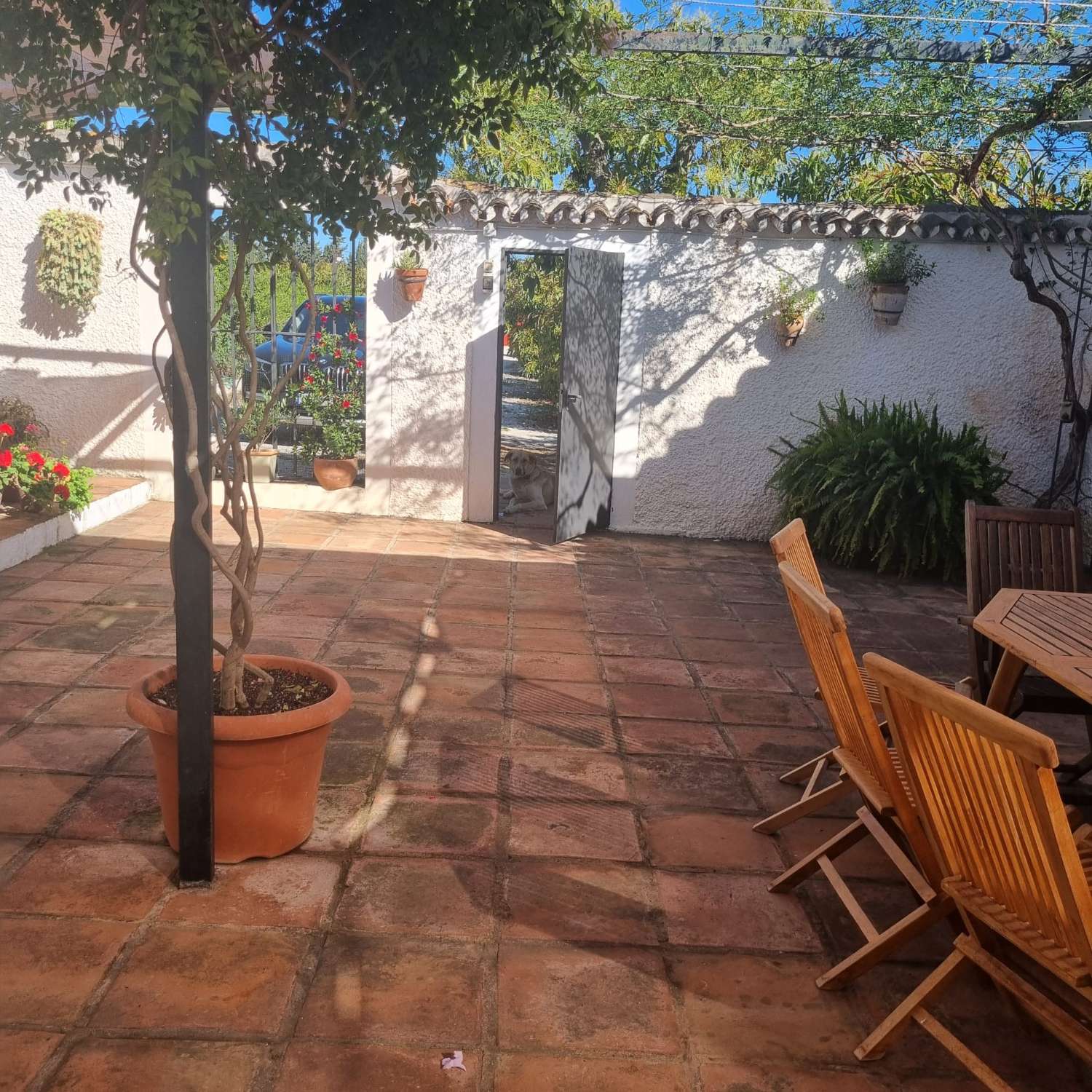 Finca des aguacates con mucha agua y con arboles en producción con casas y piscina