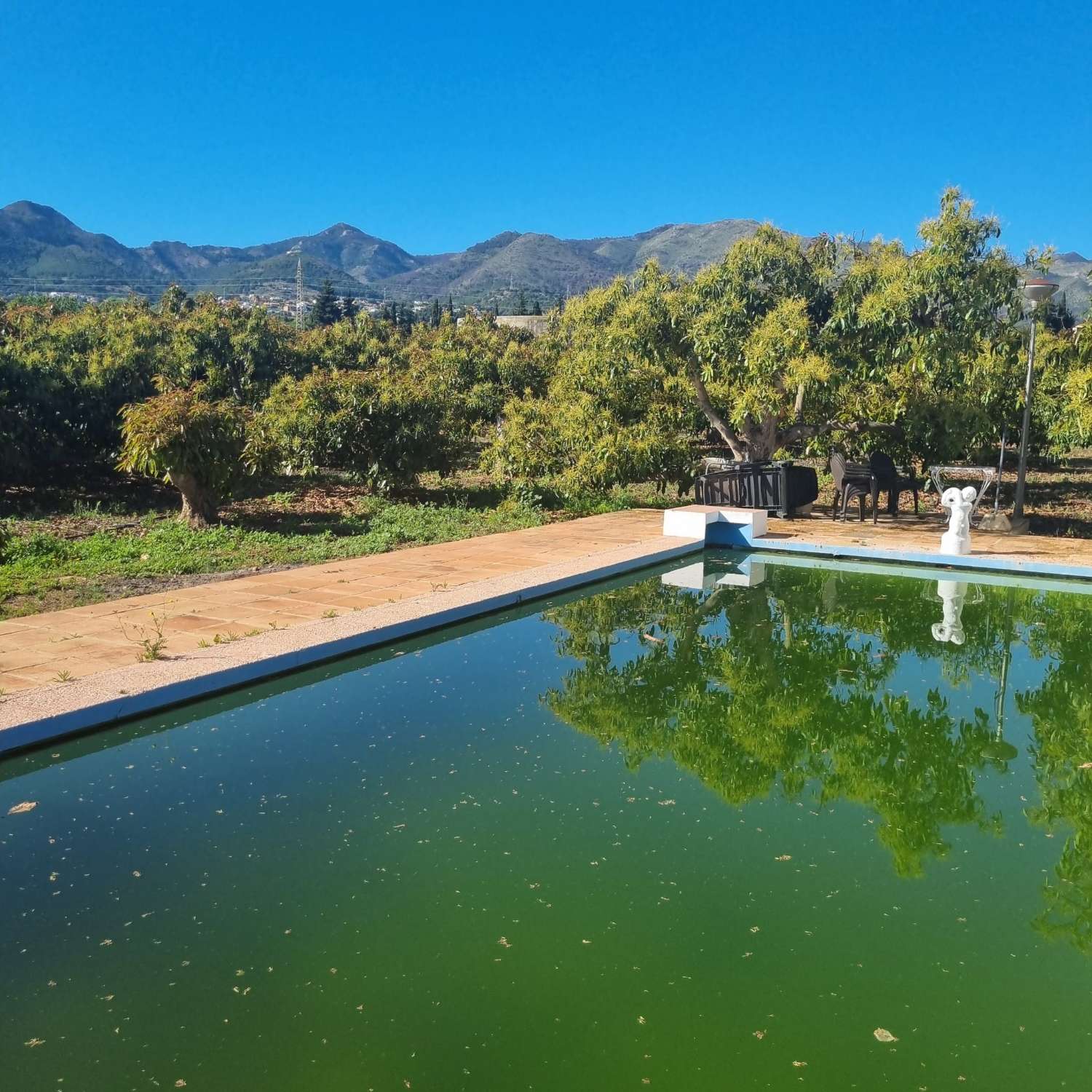 Finca des aguacates con mucha agua y con arboles en producción con casas y piscina