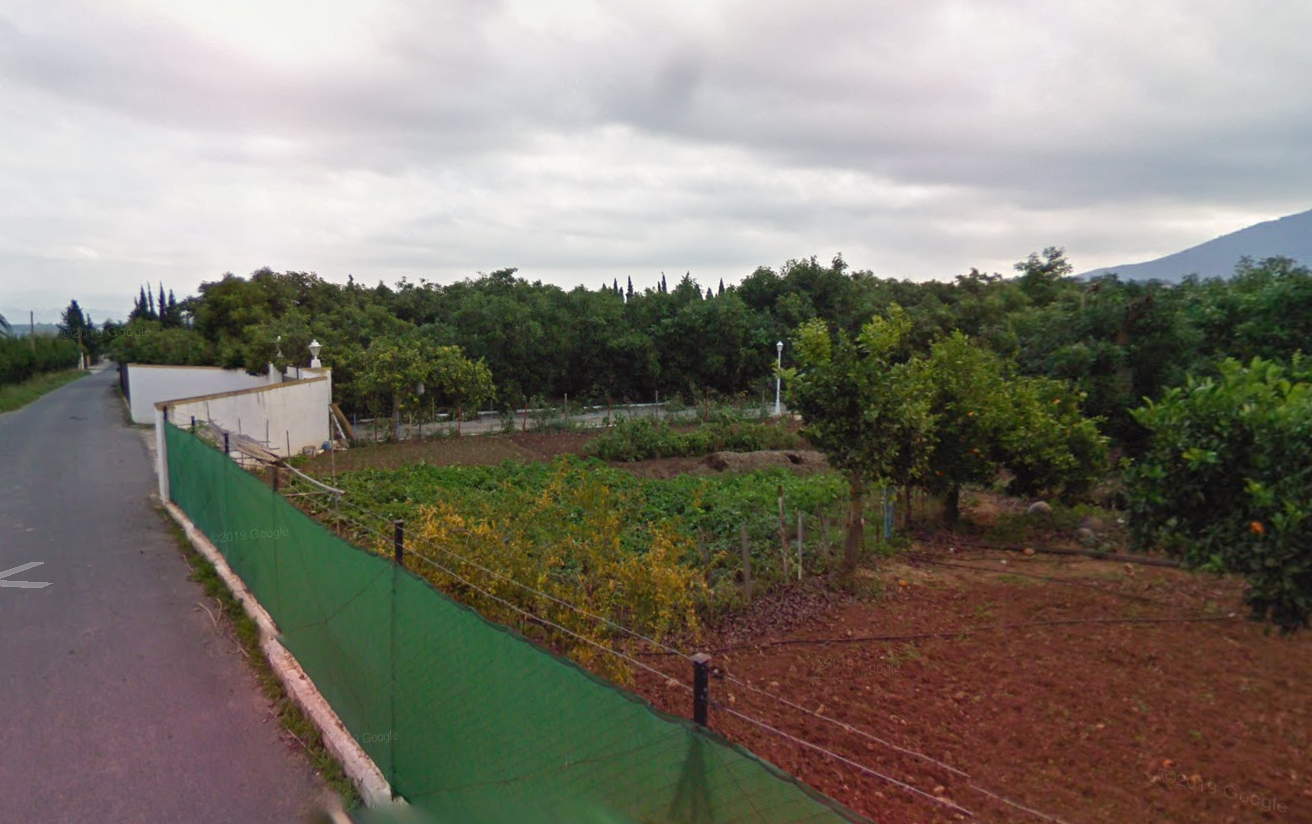 Finca des aguacates con mucha agua y con arboles en producción con casas y piscina