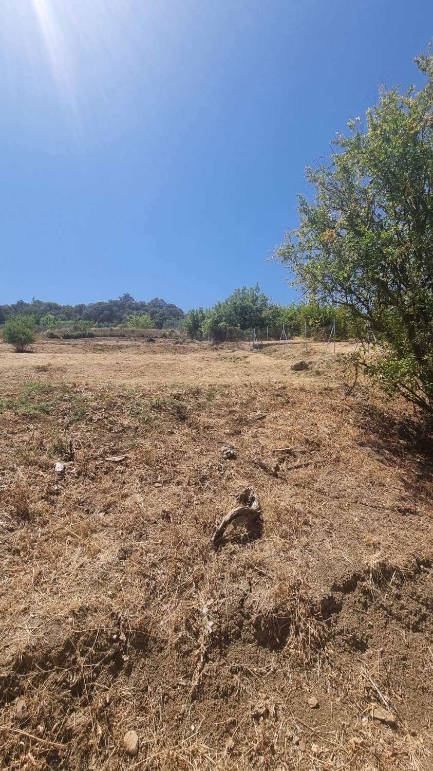 Parcela rustica con una casa registrada para reformar