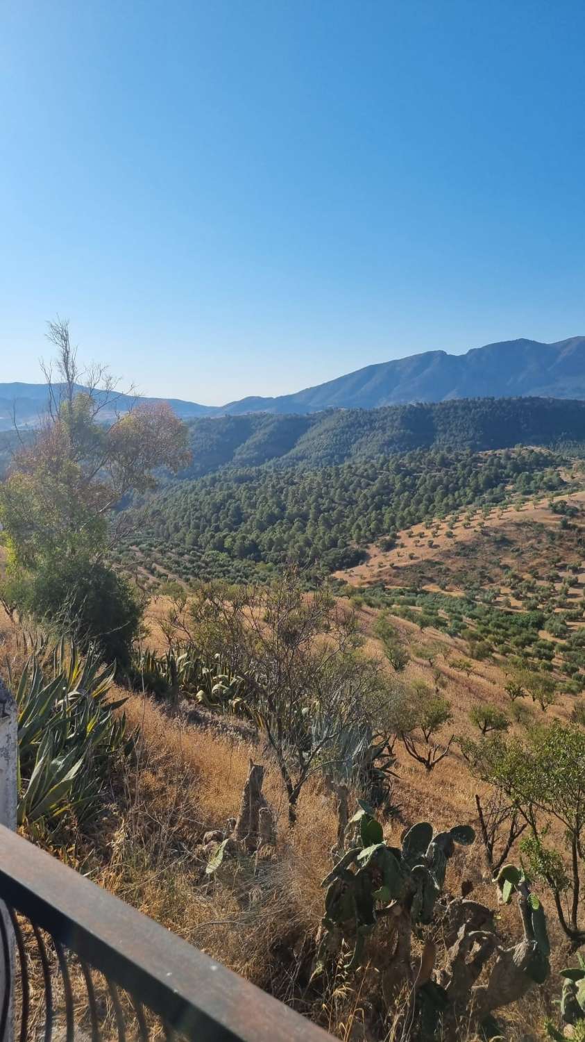 Magnifica finca ecológica con un maravilloso cortijo andaluz