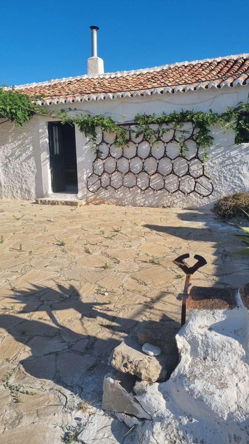 Magnifica finca ecológica con un maravilloso cortijo andaluz