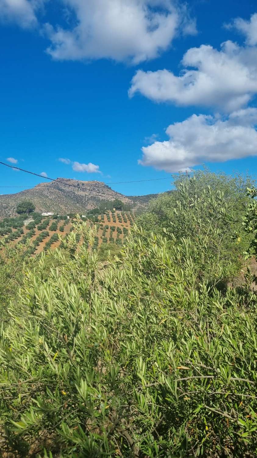 Finca con casa junto al  Caminito del Rey con  todas las comodidades