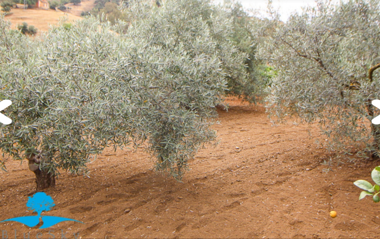 Magnifica finca con casa  piscina y todas las comodidades