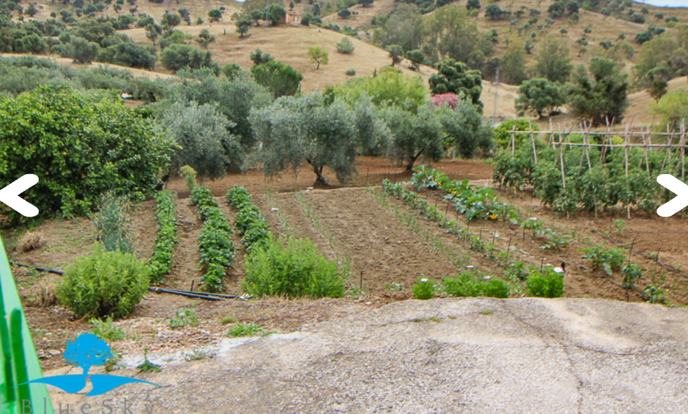 Magnifica finca con casa  piscina y todas las comodidades