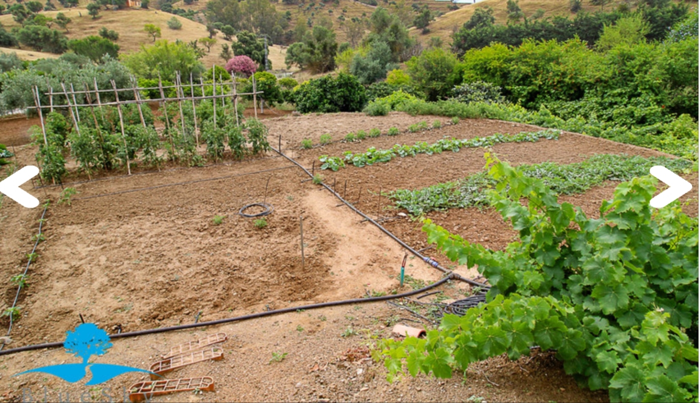 Magnifica finca con casa  piscina y todas las comodidades