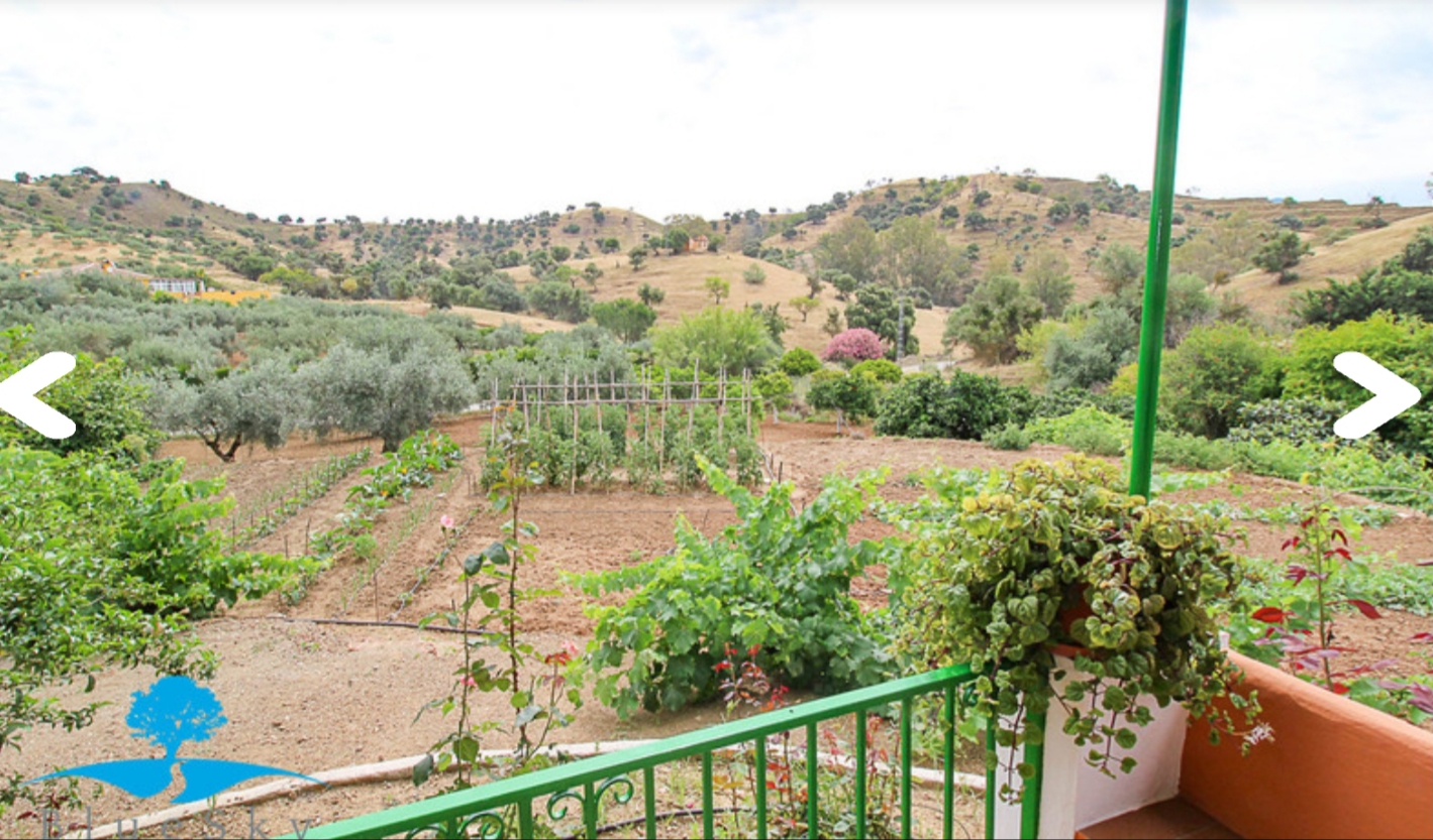 Magnifica finca con casa  piscina y todas las comodidades