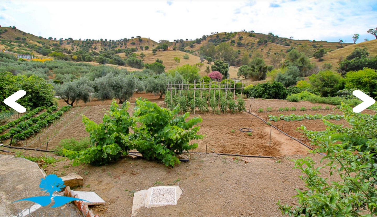 Magnifica finca con casa  piscina y todas las comodidades