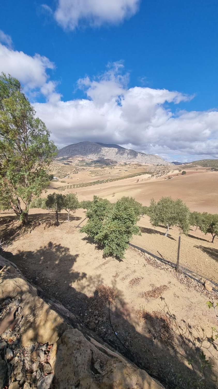 Country Property for sale in Álora