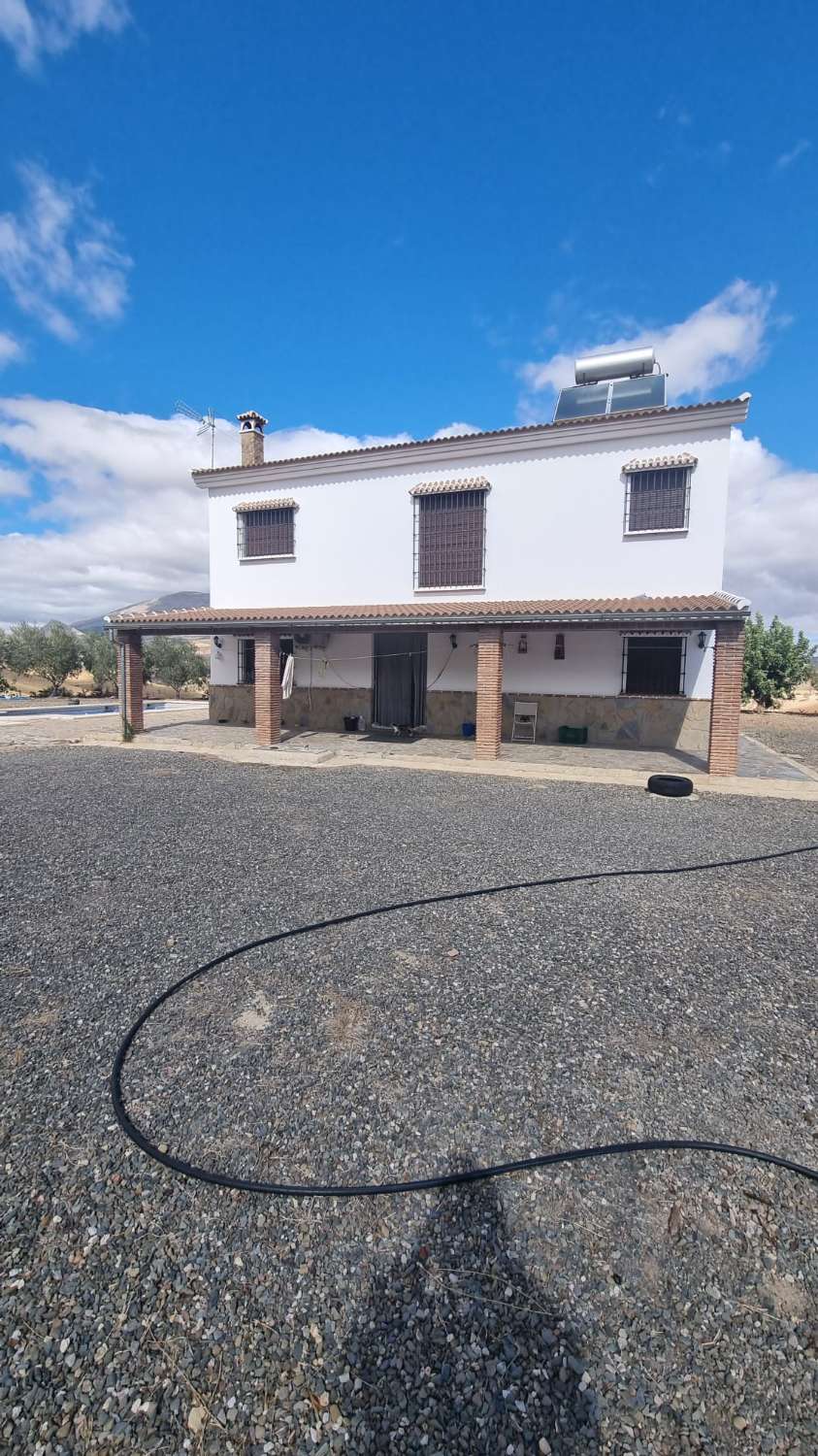 Magnifica finca con casa , piscina sembrada de olivos ecológicos