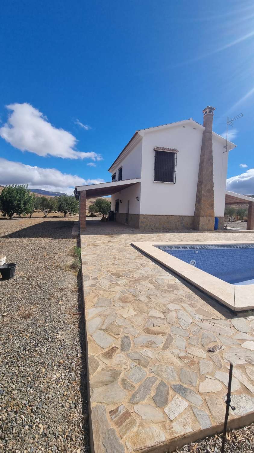 Magnifica finca con casa , piscina sembrada de olivos ecológicos