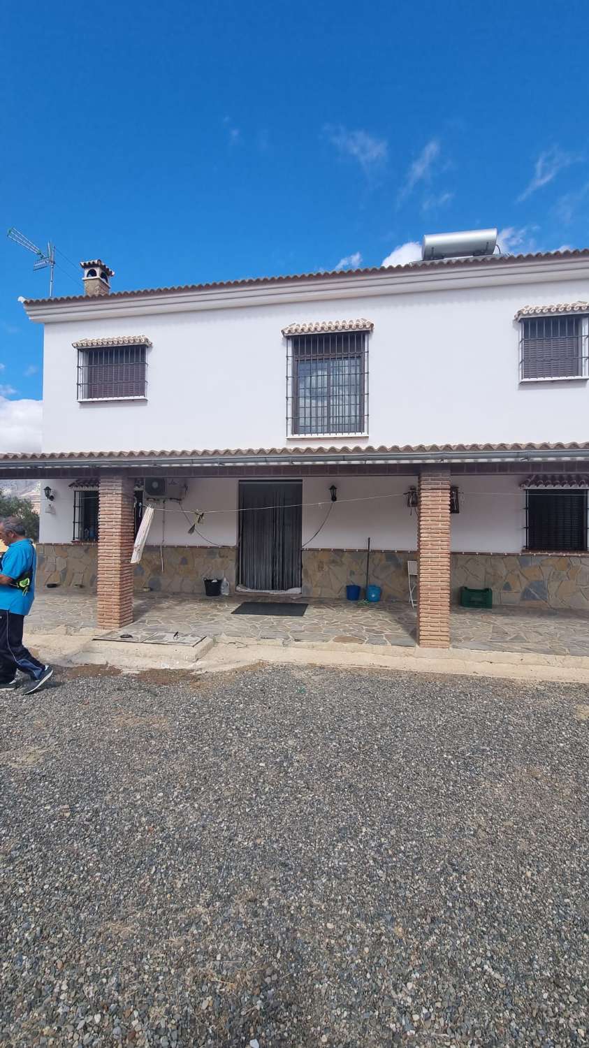 Magnifica finca con casa , piscina sembrada de olivos ecológicos