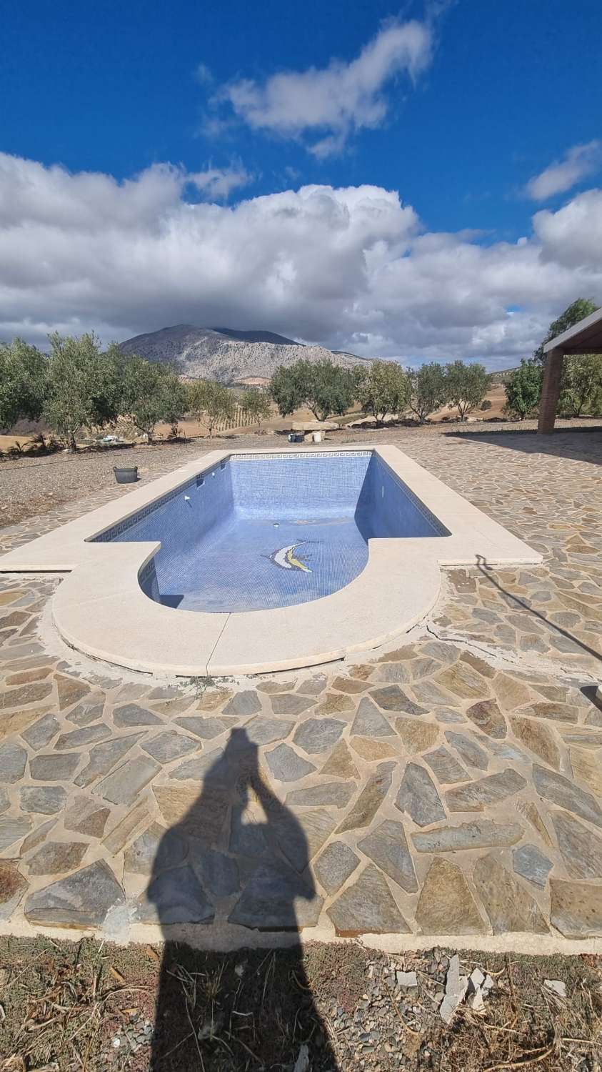 Magnifica finca con casa , piscina sembrada de olivos ecológicos