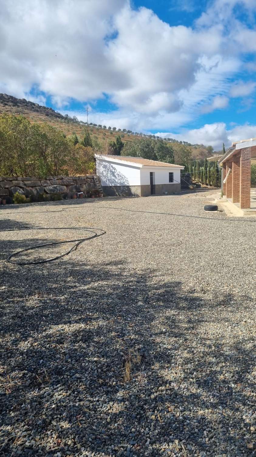 Magnifica finca con casa , piscina sembrada de olivos ecológicos