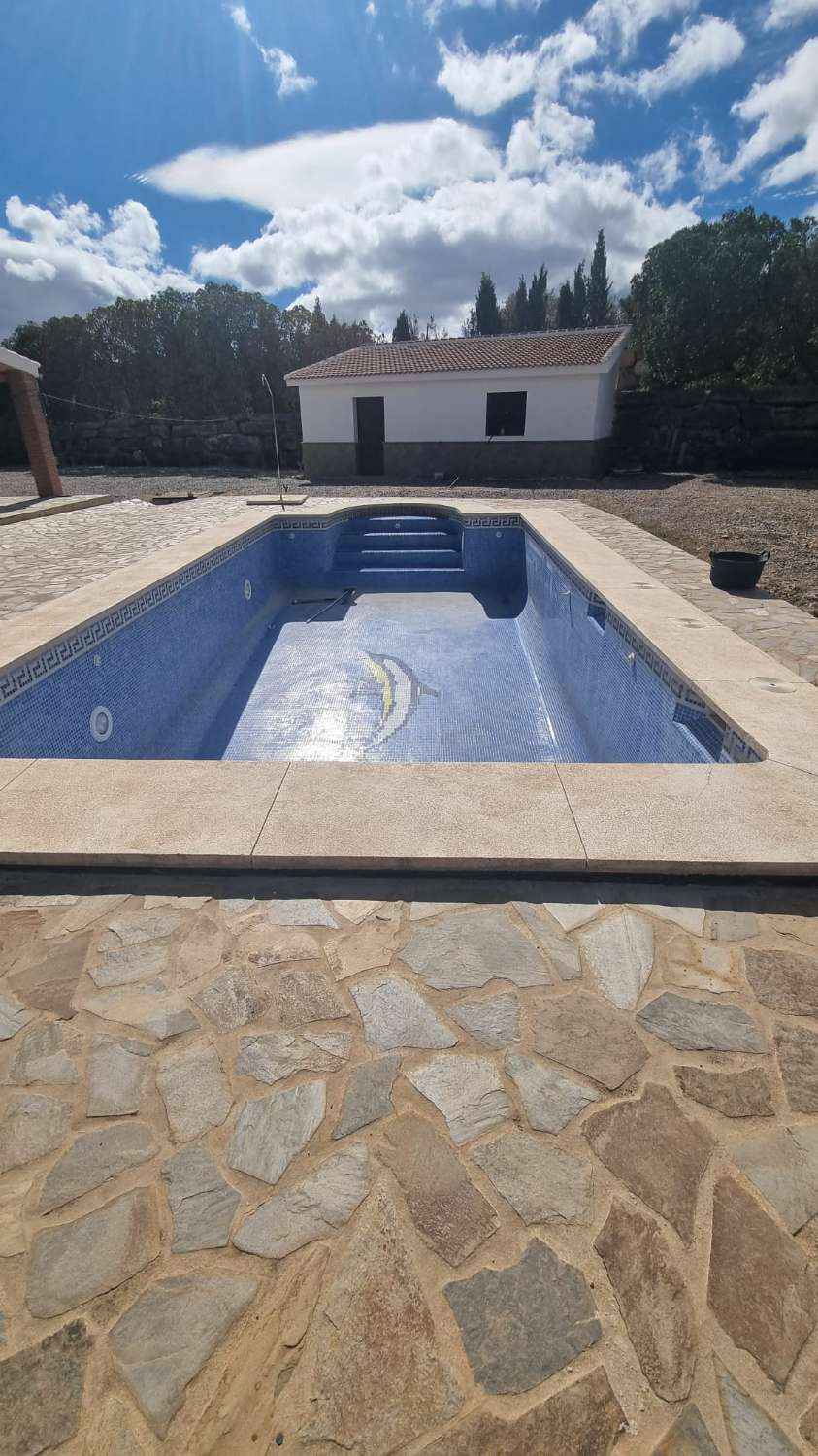 Magnifica finca con casa , piscina sembrada de olivos ecológicos