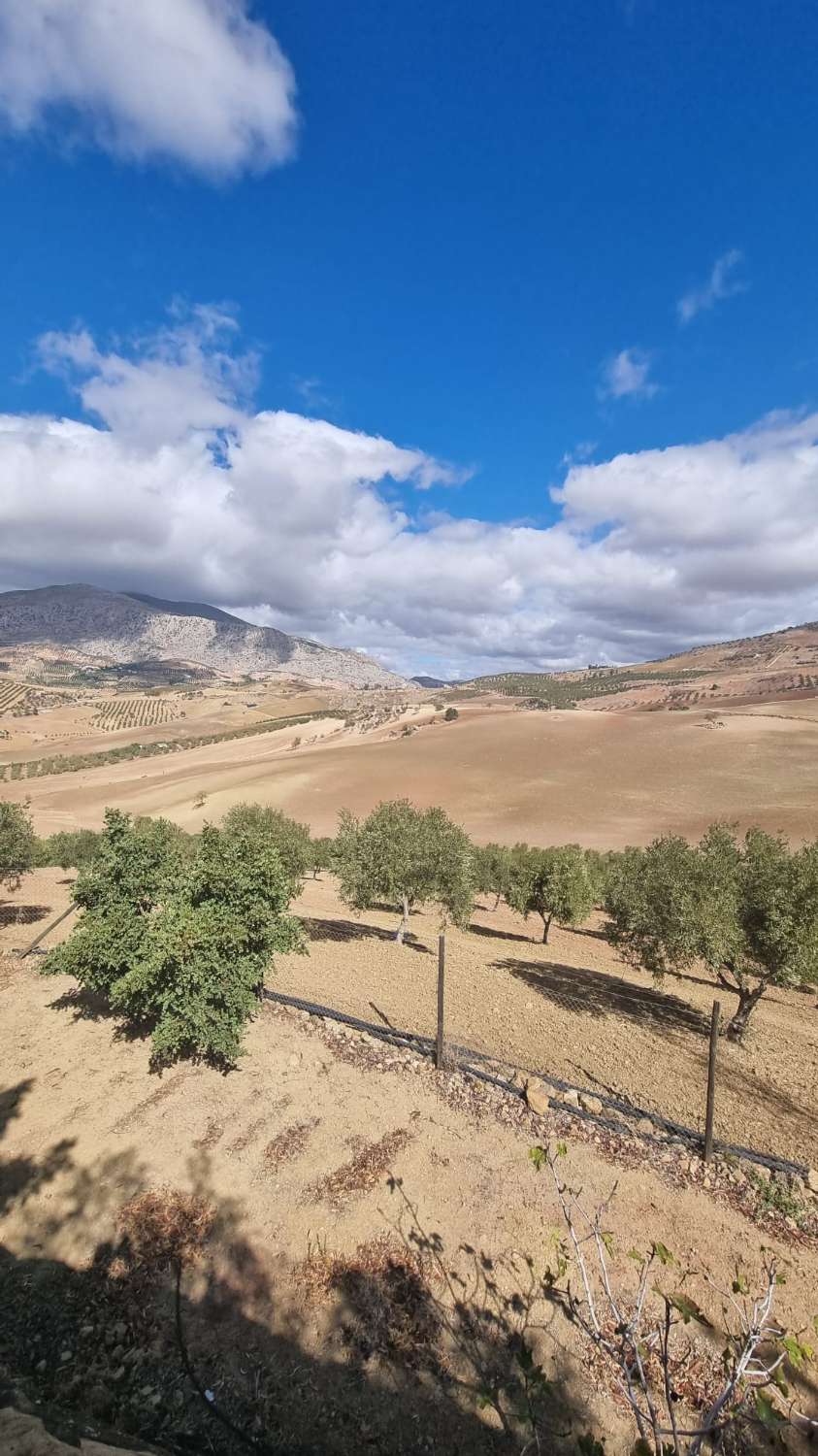 Grundstück zum verkauf in Álora