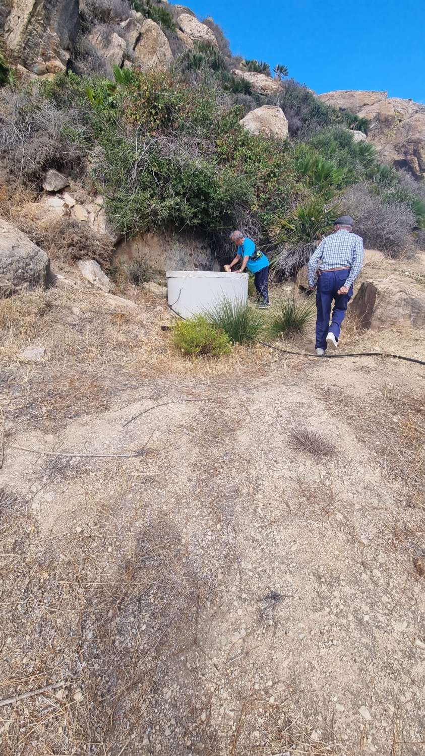 Magnifica finca con casa , piscina sembrada de olivos ecológicos