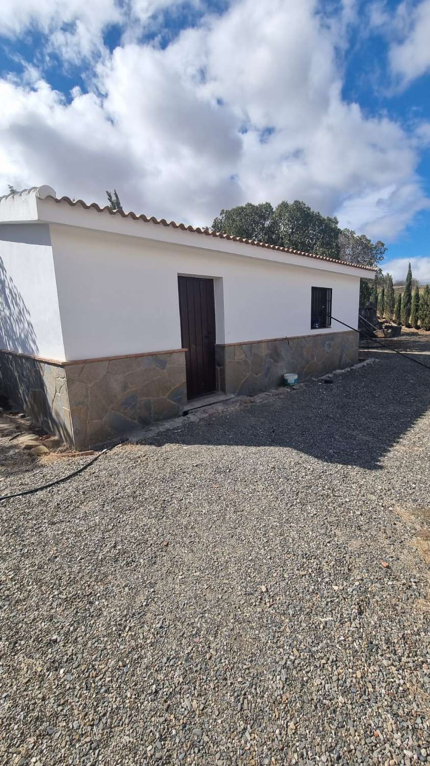 Magnifica finca con casa , piscina sembrada de olivos ecológicos