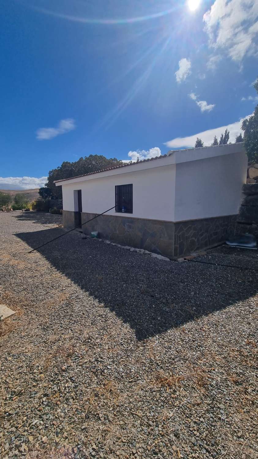 Magnifica finca con casa , piscina sembrada de olivos ecológicos