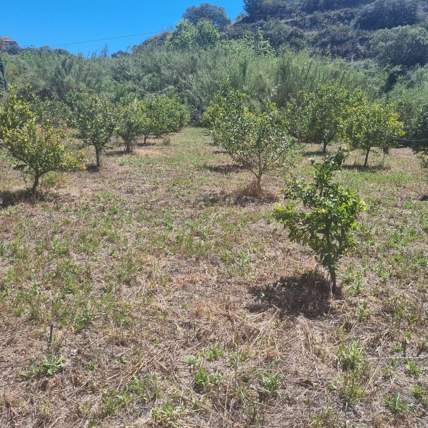 Maison en vente à Coín