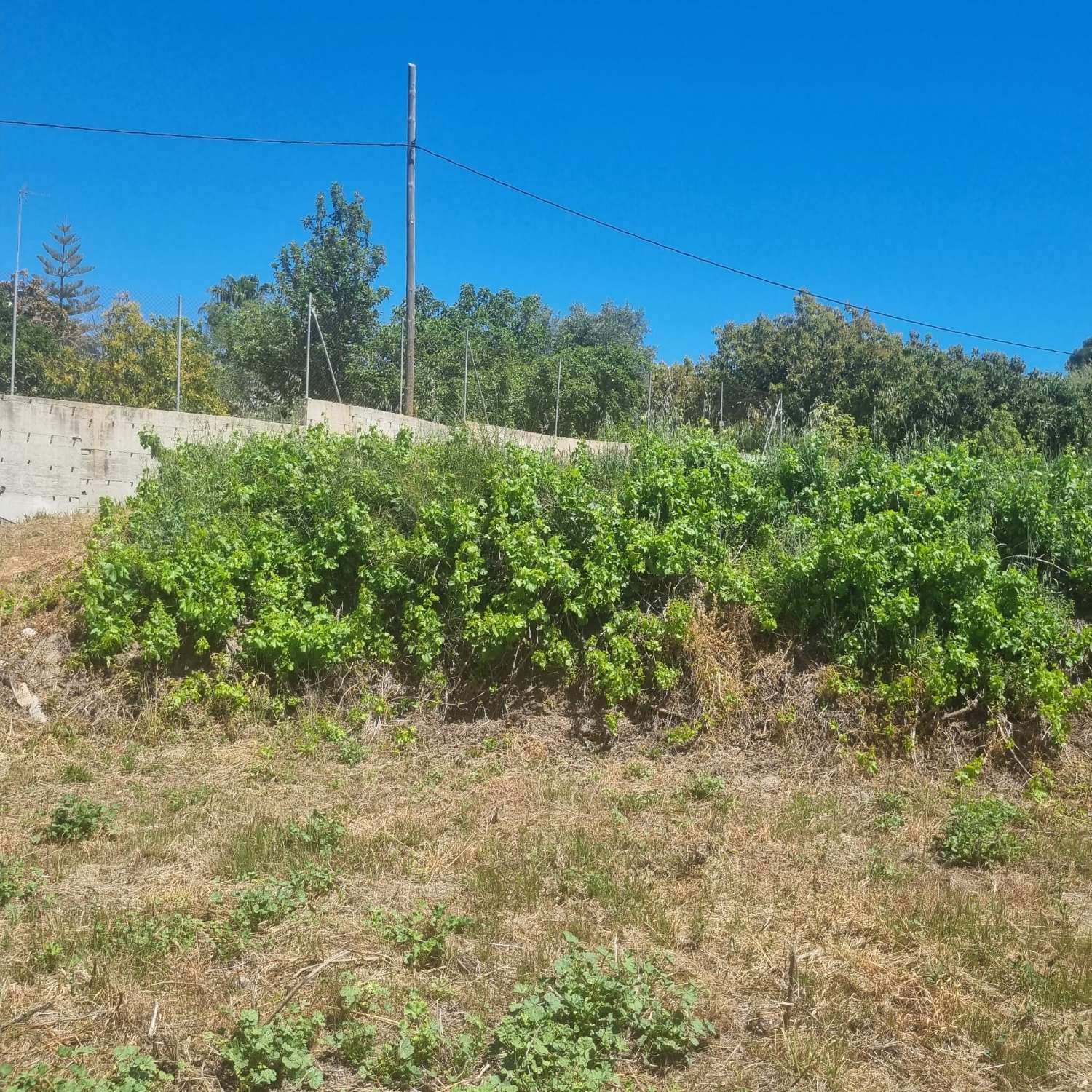 Maison en vente à Coín