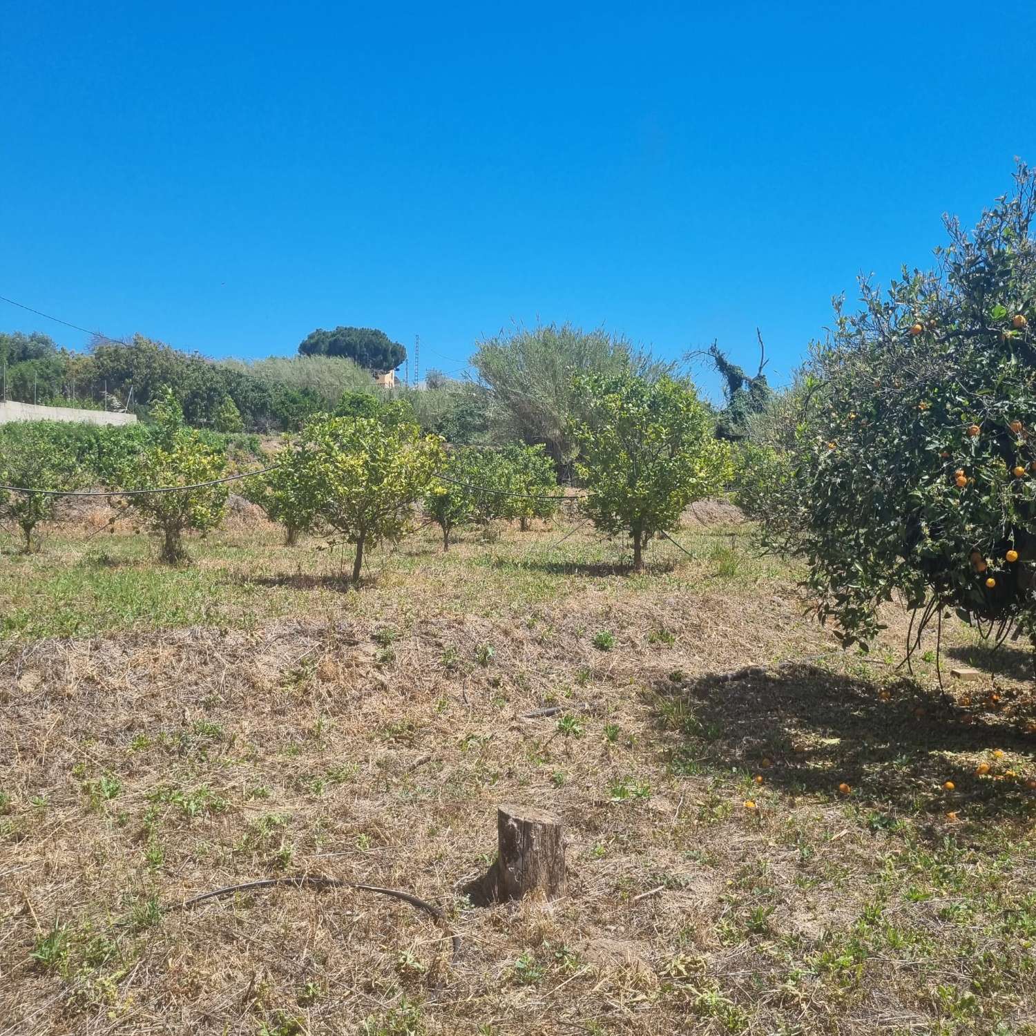 Maison en vente à Coín